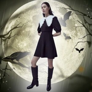 Zara Peter Pan Collar Dress